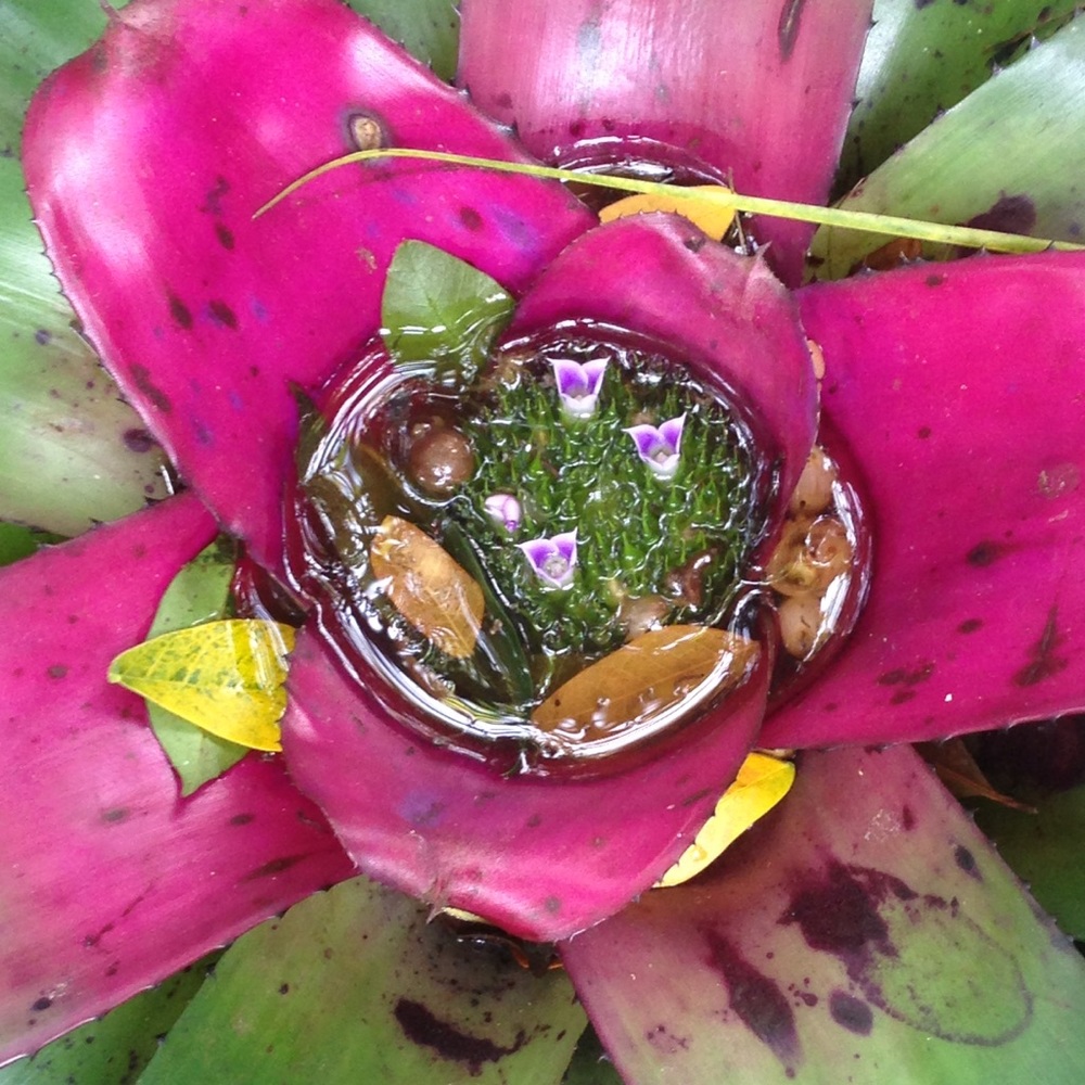 Meet your Posher, Hope